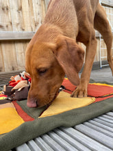 Load image into Gallery viewer, Snuffle Enrichment Mat